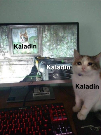 A cover of "cosmere" cluster. The owner is ccricket. The cluster consists of 85 elements.