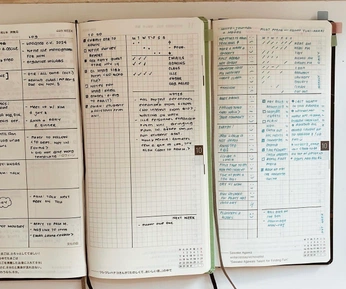A cover of "journaling and such" cluster. The owner is reinstorm. The cluster consists of 2 elements.