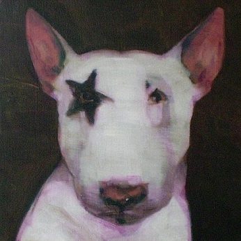 A cover of "BULL TERRIER \\ mini" cluster. The owner is andydubois. The cluster consists of 5 elements.