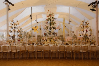 A cover of "Wedding" cluster. The owner is bbybellamushroom. The cluster consists of 22 elements.