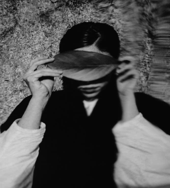 A cover of "Editorial Noir" cluster. The owner is talt1. The cluster consists of 378 elements.