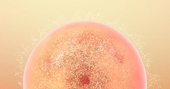 A cover of "Tree Js & Web GL" cluster. The owner is morilem. The cluster consists of 2 elements.