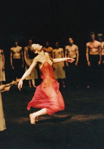 A cover of "Hakwasha" cluster. The owner is smiley. The cluster consists of 13 elements.