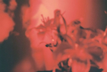 A cover of "film" cluster. The owner is samesasha. The cluster consists of 52 elements.