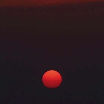 A cover of "wallpapers" cluster. The owner is thebohohomo101. The cluster consists of 1 element.