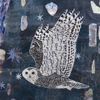 A cover of "City of owls" cluster. The owner is luduch. The cluster consists of 69 elements.