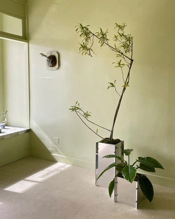 A cover of "Красиво" cluster. The owner is shanevan. The cluster consists of 2 elements.