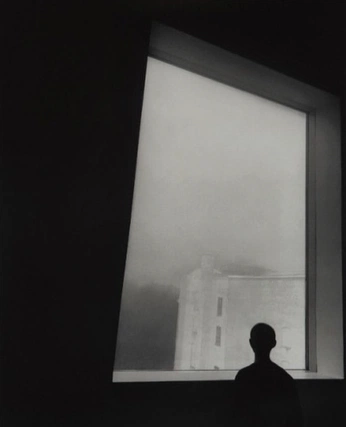 A cover of "Photogenic" cluster. The owner is byzriz. The cluster consists of 20 elements.