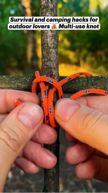 A cover of "Knots" cluster. The owner is ksampson. The cluster consists of 3 elements.