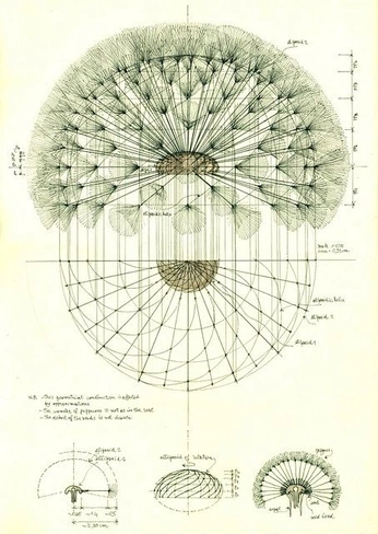 A cover of "Anatomy" cluster. The owner is prush. The cluster consists of 93 elements.