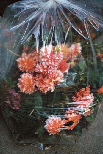 A cover of "floral" cluster. The owner is anastasiadj. The cluster consists of 3 elements.