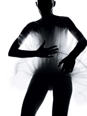 A cover of "ballet" cluster. The owner is namaste.oomm. The cluster consists of 2 elements.