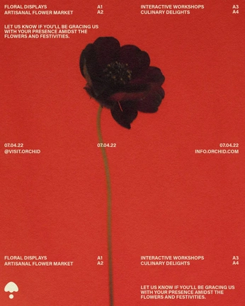 A cover of "vd" cluster. The owner is verber. The cluster consists of 3 elements.