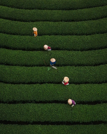 A cover of "source" cluster. The owner is nhphg003. The cluster consists of 15 elements.