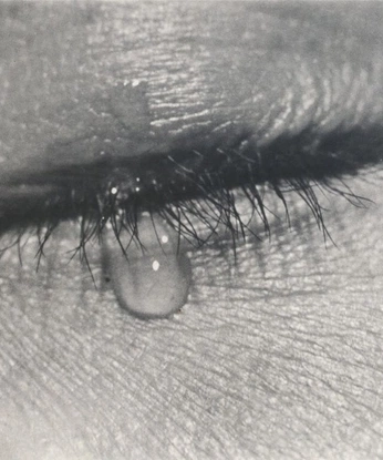 A cover of "feelings" cluster. The owner is lululoes. The cluster consists of 1 element.