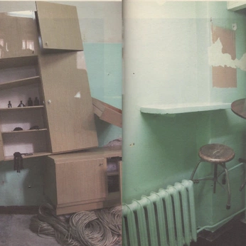 A cover of "mood board" cluster. The owner is katguerra. The cluster description is "my life my vision my color palette my everything. don't idle.". The cluster consists of 88 elements.