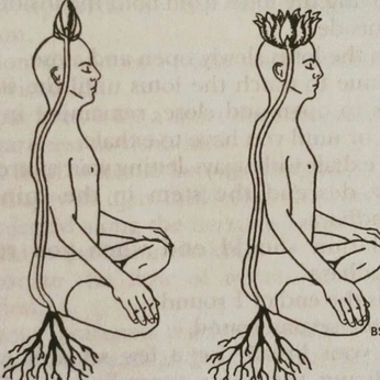 A cover of "Intention" cluster. The owner is sunrisess. The cluster consists of 75 elements.