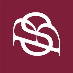 Brillo Studio avatar