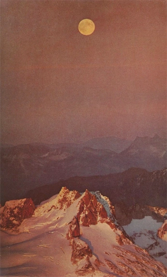 A cover of "BACKGROUND" cluster. The owner is nemomen. The cluster consists of 37 elements.