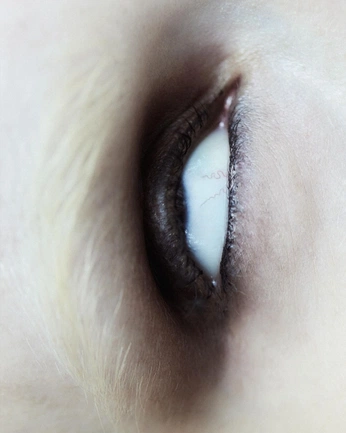 A cover of "angeloni" cluster. The owner is carolinacatt. The cluster consists of 87 elements.