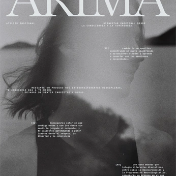 A cover of "Layout" cluster. The owner is carameloconpalo. The cluster consists of 62 elements.