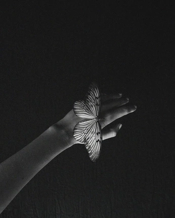 A cover of "k.i" cluster. The owner is ki1998. The cluster consists of 26 elements.