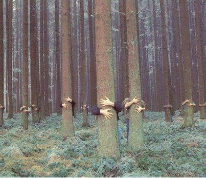 Photograph Im Wald by Voller Ernst.