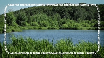 A cover of "motion" cluster. The owner is rudimentdigi. The cluster description is "animation creations". The cluster consists of 3 elements.