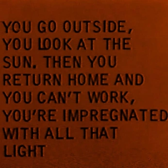 A cover of "sully" cluster. The owner is shpuntsz. The cluster consists of 33 elements.