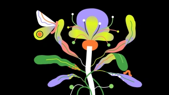 A cover of "Full Videos" cluster. The owner is tainaceccato. The cluster consists of 18 elements. 8 create it.