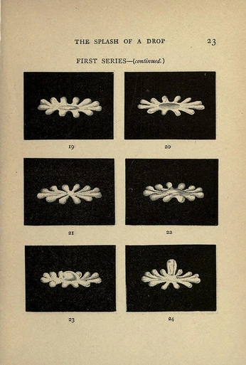 A cover of "magazine & posters" cluster. The owner is elikem. The cluster consists of 5 elements.