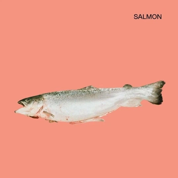 Cover of fABLE salmon cluster