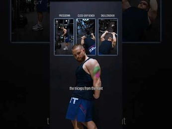 A cover of "Triceps" cluster. The owner is noohu. The cluster consists of 3 elements.