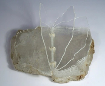 A cover of "like a lamb" cluster. The owner is una01. The cluster consists of 24 elements.