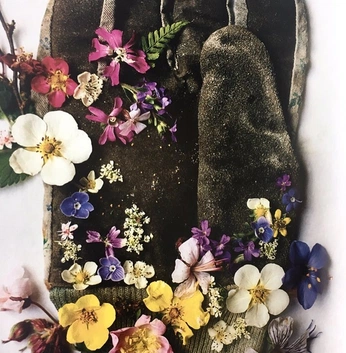 A cover of "Spring TEEN" cluster. The owner is beeblanton. The cluster consists of 59 elements.