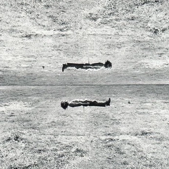 A cover of "el camino" cluster. The owner is suitboicito. The cluster consists of 23 elements.