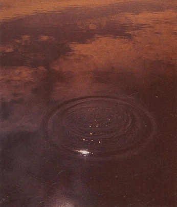 A cover of "Soulful Essence" cluster. The owner is fsude. The cluster consists of 2 elements.