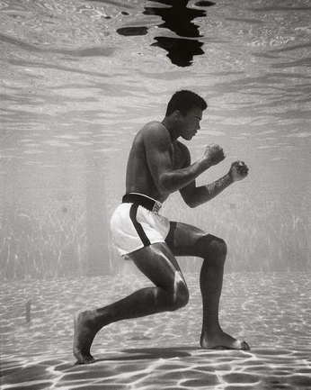 A cover of "Nearing Olympus" cluster. The owner is chuck. The cluster consists of 41 elements.