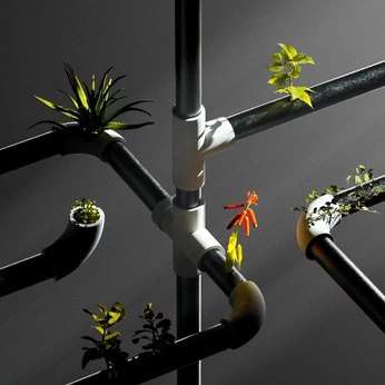 A cover of "THESIS" cluster. The owner is quieteagles. The cluster consists of 139 elements.