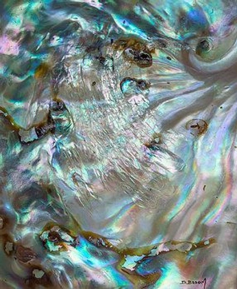 A cover of "Abalone" cluster. The owner is rubiafurieri. The cluster consists of 4 elements.