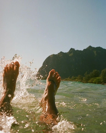 A cover of "wall" cluster. The owner is danavajas. The cluster consists of 2 elements.