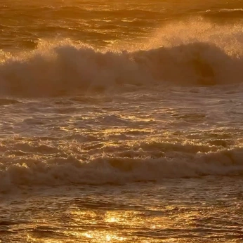 A cover of "Water" cluster. The owner is 45tvc15. The cluster consists of 24 elements.