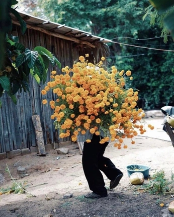 A cover of "Art" cluster. The owner is hjkhjkyukjhmkbnm. The cluster consists of 2 elements.