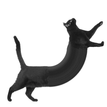 A cover of "animalitos no culeros" cluster. The owner is lavomitiva. The cluster consists of 1 element.