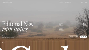 A cover of "Website" cluster. The owner is donnerjack. The cluster consists of 17 elements.