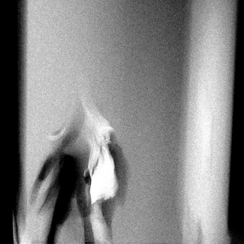 A cover of "Art Direction/In Motion" cluster. The owner is callen. The cluster consists of 47 elements.