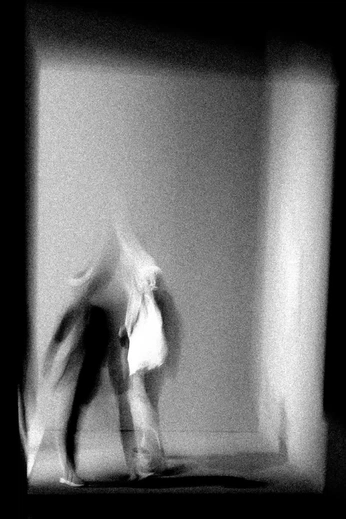 A cover of "Looks" cluster. The owner is curtisc. The cluster consists of 231 elements.