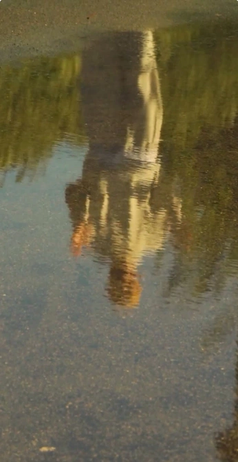 A cover of "Reset" cluster. The owner is laurenamundrud. The cluster consists of 21 elements.