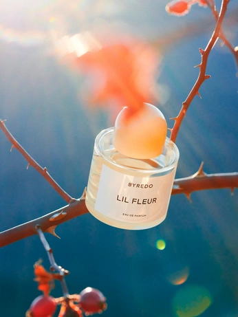 A cover of "beauty" cluster. The owner is emmahannaway. The cluster consists of 37 elements.