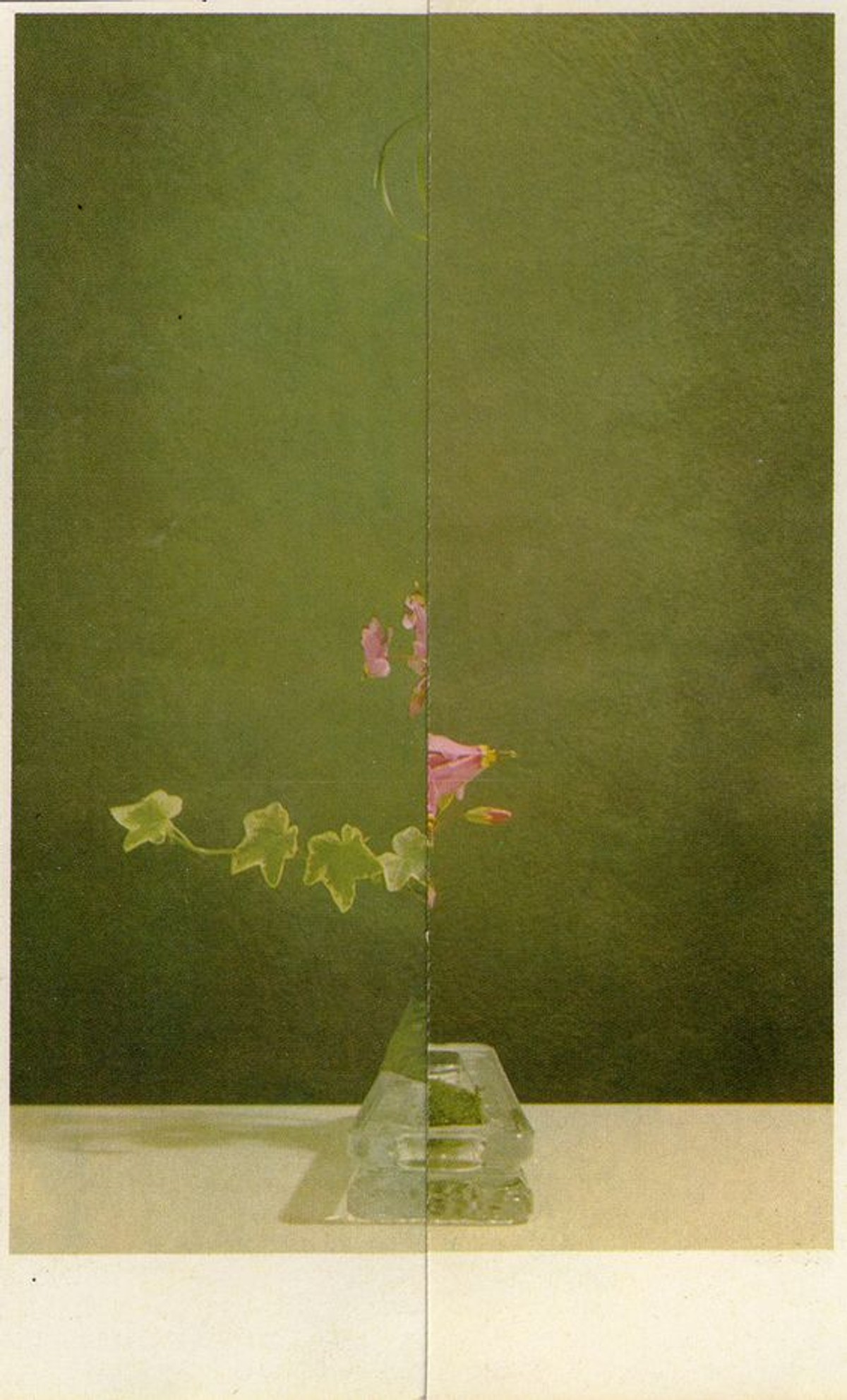 Thumbnail of Found on Cosmos